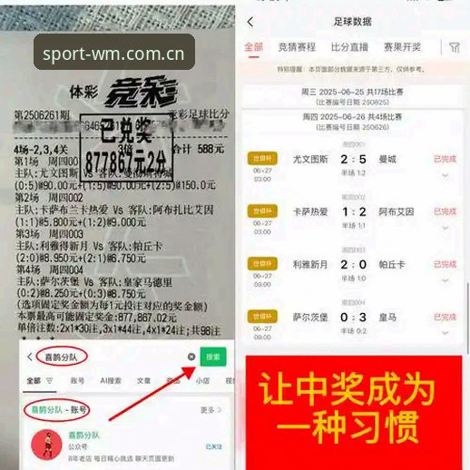 资深用户分享：完美体育中国官网实战使用心得与完整指南